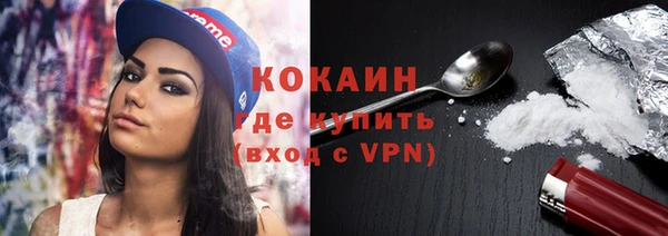 прущие грибы Козловка