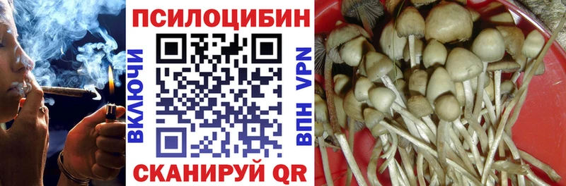 Псилоцибиновые грибы Cubensis  где найти   Ликино-Дулёво 